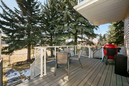 44 Deerbrook Crescent Se, Calgary, AB - Outdoor With Deck Patio Veranda