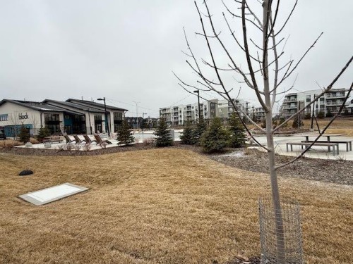 272 Seton Passage Se, Calgary, AB - Outdoor