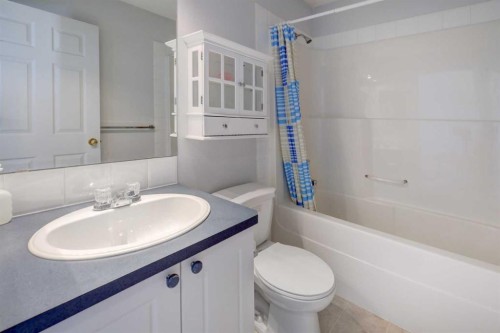 179 Saddlemead Green Ne, Calgary, AB - Indoor Photo Showing Bathroom