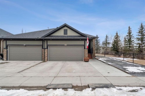 561 Boulder Creek Green Se, Langdon, AB - Outdoor
