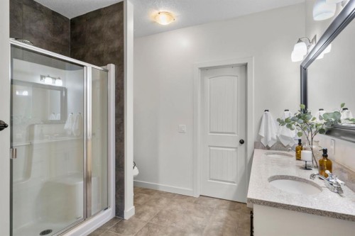 561 Boulder Creek Green Se, Langdon, AB - Indoor Photo Showing Bathroom