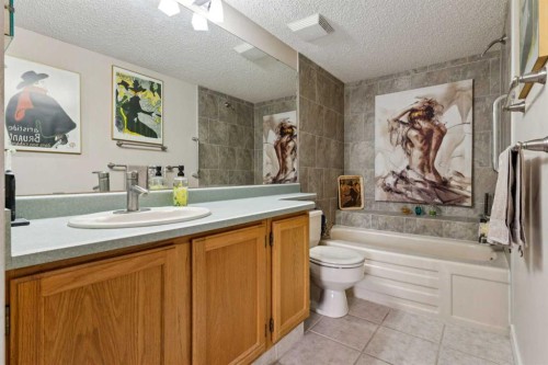 302-2425 90 Avenue Sw, Calgary, AB - Indoor Photo Showing Bathroom