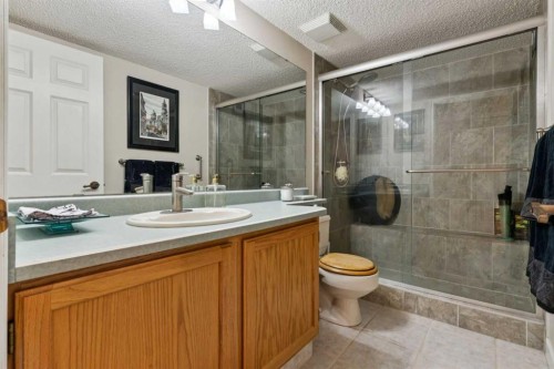 302-2425 90 Avenue Sw, Calgary, AB - Indoor Photo Showing Bathroom