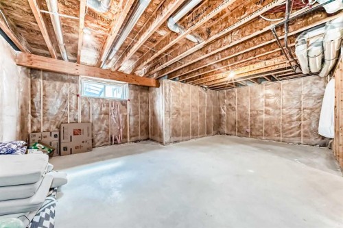 98 Mahogany Way Se, Calgary, AB - Indoor Photo Showing Basement