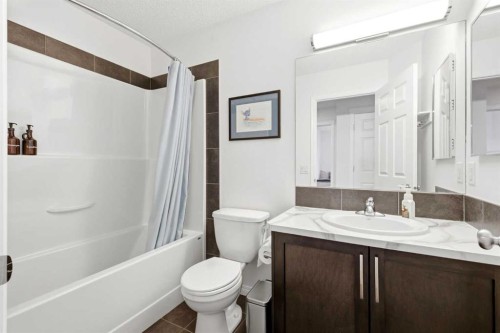 62 Walden Court Se, Calgary, AB - Indoor Photo Showing Bathroom