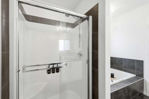 62 Walden Court Se, Calgary, AB - Indoor Photo Showing Bathroom