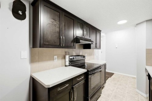 62 Walden Court Se, Calgary, AB - Indoor Photo Showing Kitchen