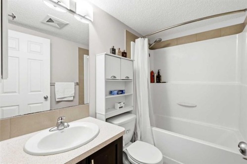 62 Walden Court Se, Calgary, AB - Indoor Photo Showing Bathroom
