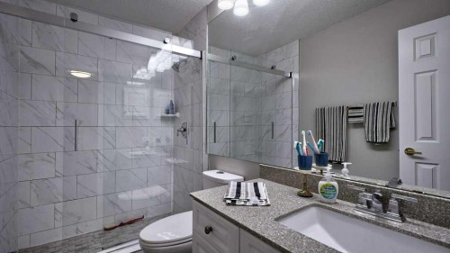 324-2425 90 Avenue Sw, Calgary, AB - Indoor Photo Showing Bathroom