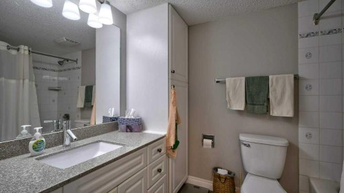 324-2425 90 Avenue Sw, Calgary, AB - Indoor Photo Showing Bathroom