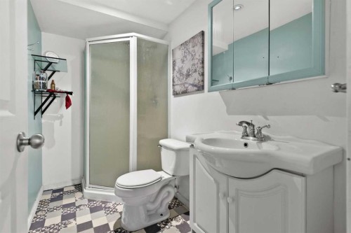 66 Elston Place Se, Airdrie, AB - Indoor Photo Showing Bathroom