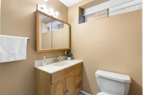 227 Bridlewood Circle Sw, Calgary, AB - Indoor Photo Showing Bathroom