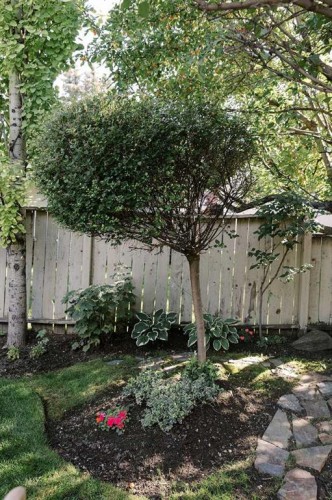 1712 25 Street Sw, Calgary, AB - Outdoor