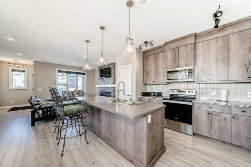 75 Howse Rise Ne, Calgary, AB - Indoor Photo Showing Kitchen With Double Sink With Upgraded Kitchen