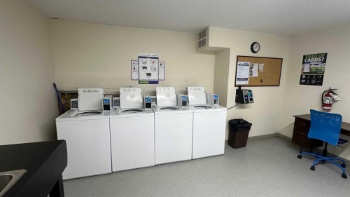 308-8403 Fairmount Drive Se, Calgary, AB - Indoor Photo Showing Laundry Room