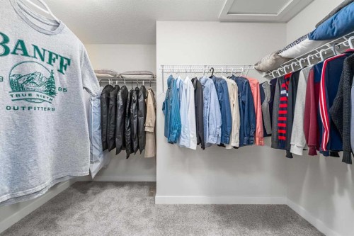 122 Ambleside Heath Nw, Calgary, AB - Indoor With Storage
