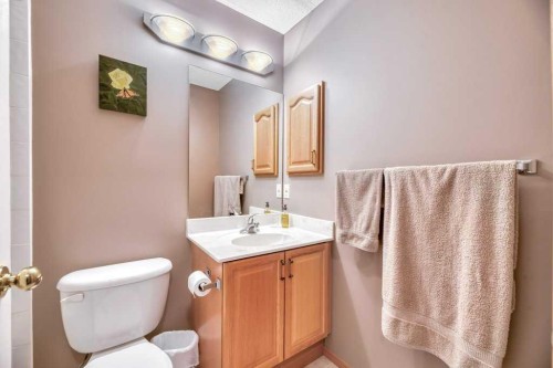 141 West Creek Crescent, Chestermere, AB - Indoor Photo Showing Bathroom