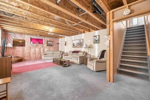 141 West Creek Crescent, Chestermere, AB - Indoor Photo Showing Basement