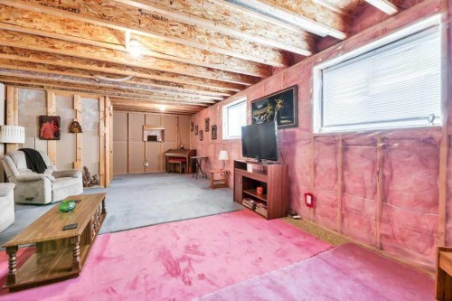 141 West Creek Crescent, Chestermere, AB - Indoor Photo Showing Basement