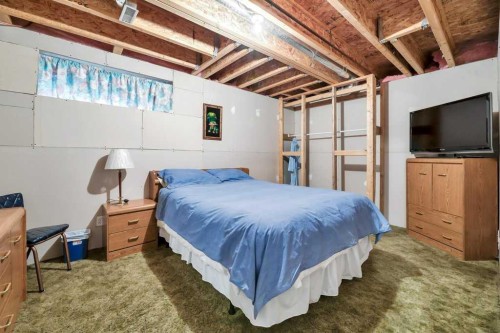 141 West Creek Crescent, Chestermere, AB - Indoor Photo Showing Basement