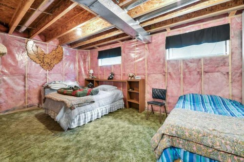 141 West Creek Crescent, Chestermere, AB - Indoor Photo Showing Basement