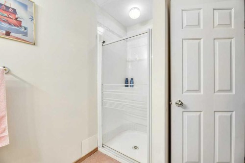 141 West Creek Crescent, Chestermere, AB - Indoor Photo Showing Bathroom