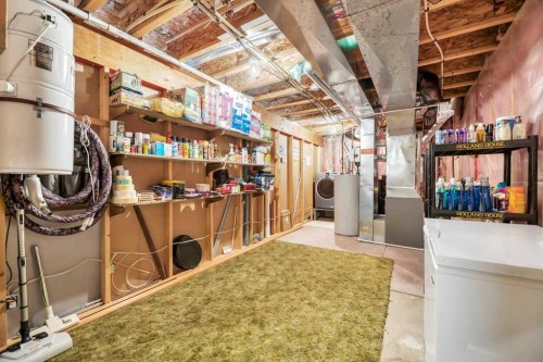 141 West Creek Crescent, Chestermere, AB - Indoor Photo Showing Basement