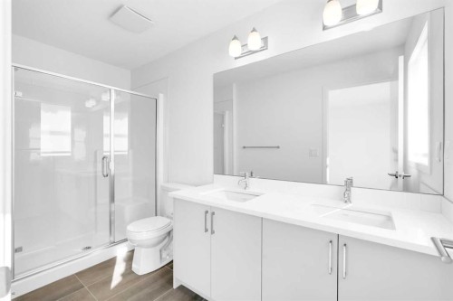 733 South Point Gate Sw, Airdrie, AB - Indoor Photo Showing Bathroom