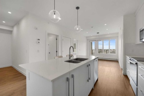 3620-60 Skyview Ranch Road Ne, Calgary, AB - Indoor Photo Showing Kitchen With Double Sink With Upgraded Kitchen