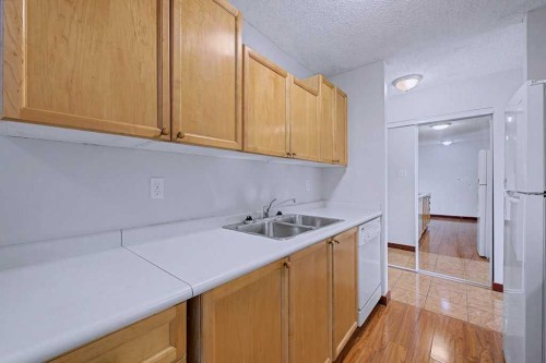105-659 4 Avenue Ne, Calgary, AB - Indoor Photo Showing Kitchen With Double Sink