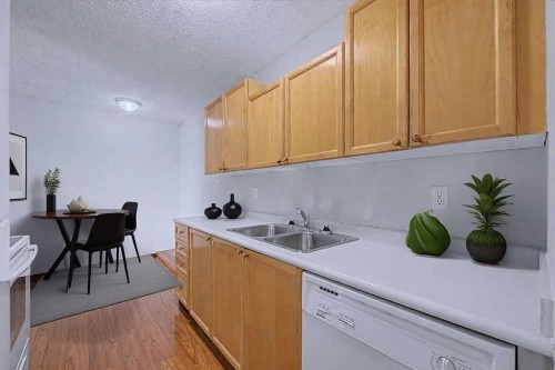 105-659 4 Avenue Ne, Calgary, AB - Indoor Photo Showing Kitchen With Double Sink