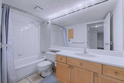 105-659 4 Avenue Ne, Calgary, AB - Indoor Photo Showing Bathroom