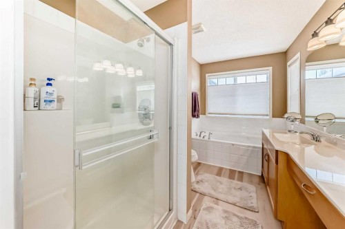 41 Kincora Drive Nw, Calgary, AB - Indoor Photo Showing Bathroom