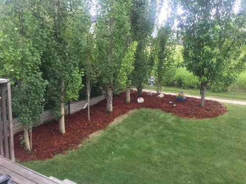 41 Kincora Drive Nw, Calgary, AB - Outdoor