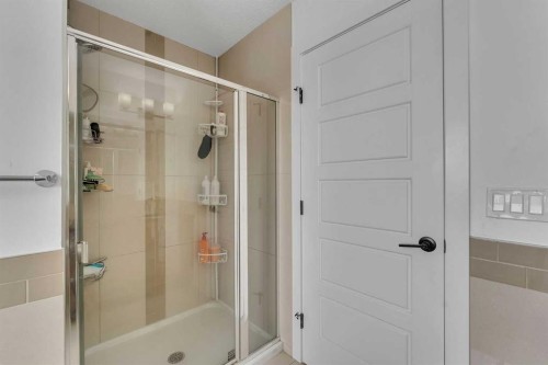 43 Saddlelake Manor Ne, Calgary, AB - Indoor Photo Showing Bathroom