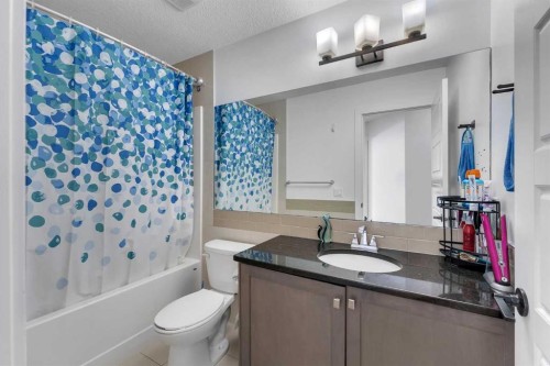 43 Saddlelake Manor Ne, Calgary, AB - Indoor Photo Showing Bathroom