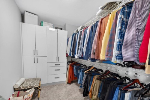 12 Cornerbrook Cove Ne, Calgary, AB - Indoor With Storage