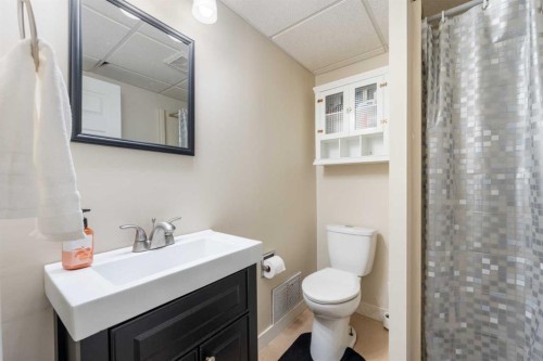 80 Taylor Way Se, Airdrie, AB - Indoor Photo Showing Bathroom