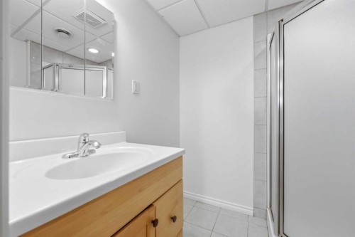 11 Beddington Green Ne, Calgary, AB - Indoor Photo Showing Bathroom