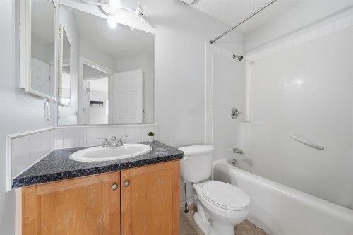 49 Royal Birch Mount Nw, Calgary, AB - Indoor Photo Showing Bathroom