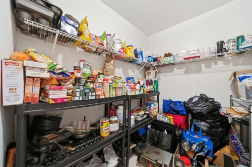 49 Royal Birch Mount Nw, Calgary, AB - Indoor With Storage