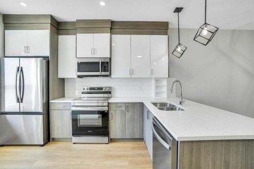 304 Red Sky Villas Ne, Calgary, AB - Indoor Photo Showing Kitchen With Stainless Steel Kitchen With Double Sink With Upgraded Kitchen
