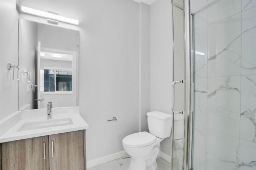 304 Red Sky Villas Ne, Calgary, AB - Indoor Photo Showing Bathroom