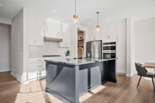 66 Savoy Landing Se, Calgary, AB - Indoor Photo Showing Kitchen With Upgraded Kitchen