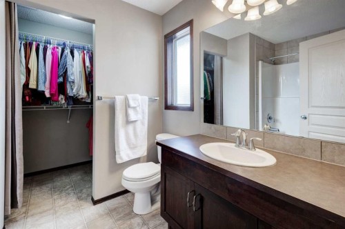 42 Everoak Green Sw, Calgary, AB - Indoor Photo Showing Bathroom