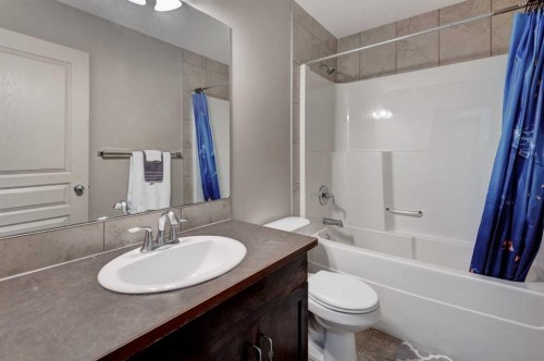 42 Everoak Green Sw, Calgary, AB - Indoor Photo Showing Bathroom