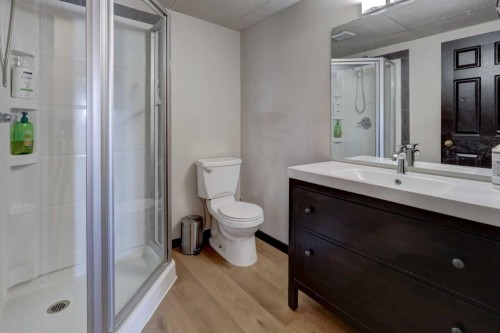 823 Bankview Drive, Drumheller, AB - Indoor Photo Showing Bathroom