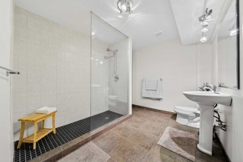 46 Discovery Ridge Road Sw, Calgary, AB - Indoor Photo Showing Bathroom