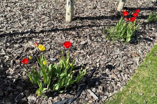 78 Cresthaven View Sw, Calgary, AB 