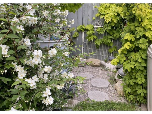 31 Sunset Crescent, Okotoks, AB - Outdoor